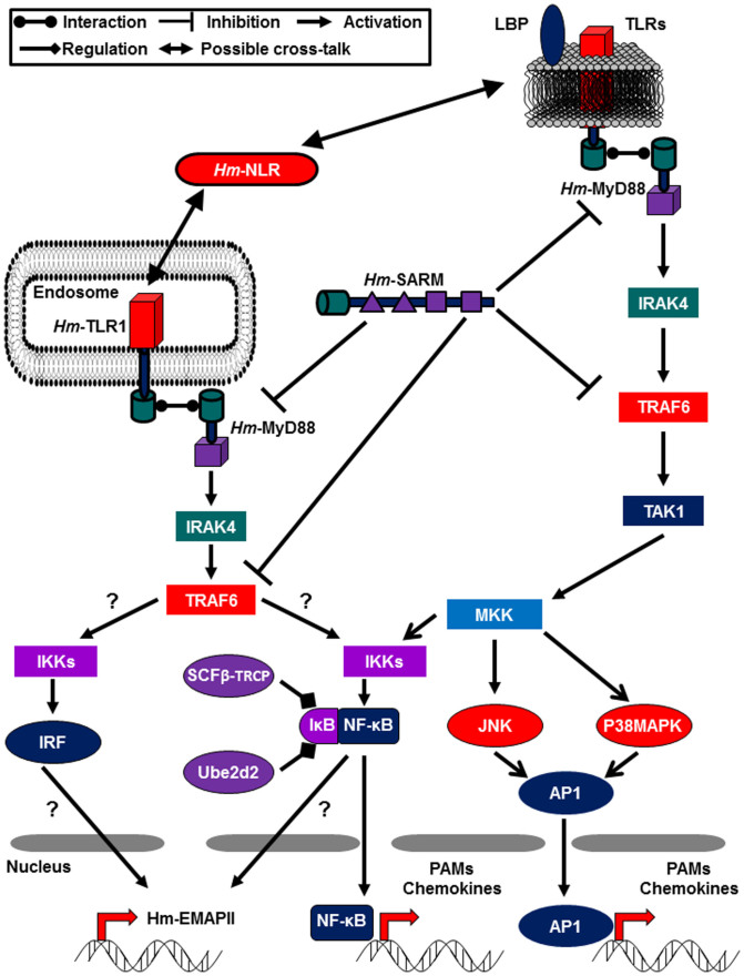 Figure 11