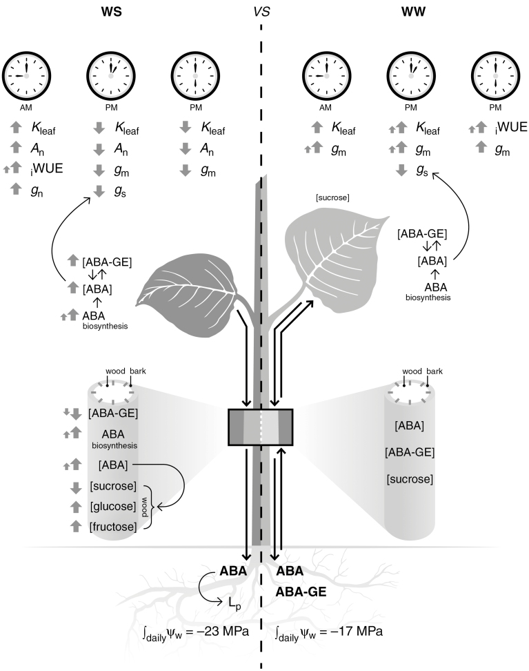 Fig. 10.