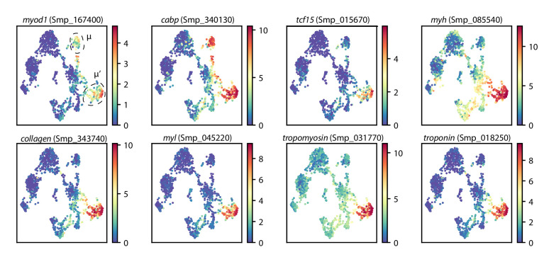 Figure 4—figure supplement 2.