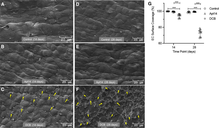 Figure 6