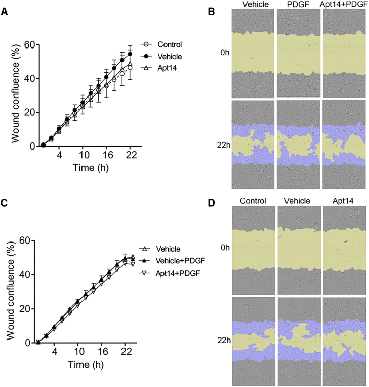 Figure 3