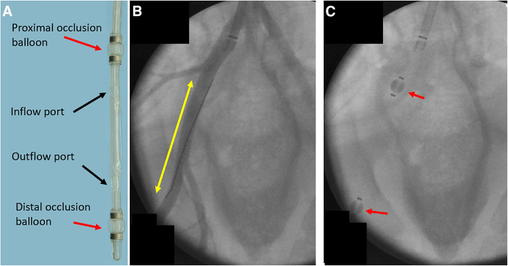 Figure 5