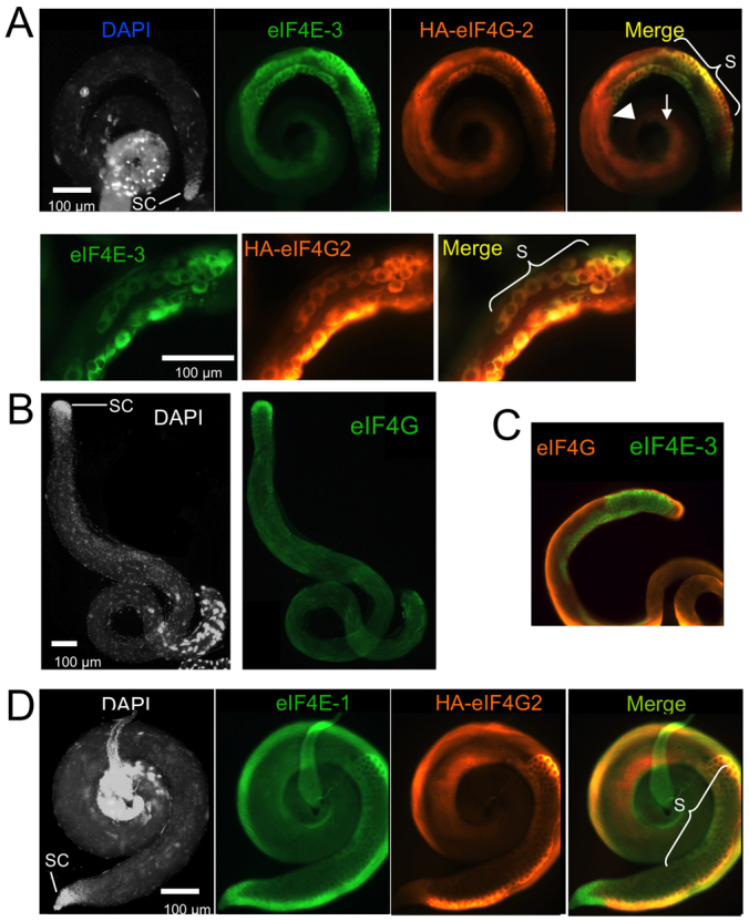 Fig. 7.