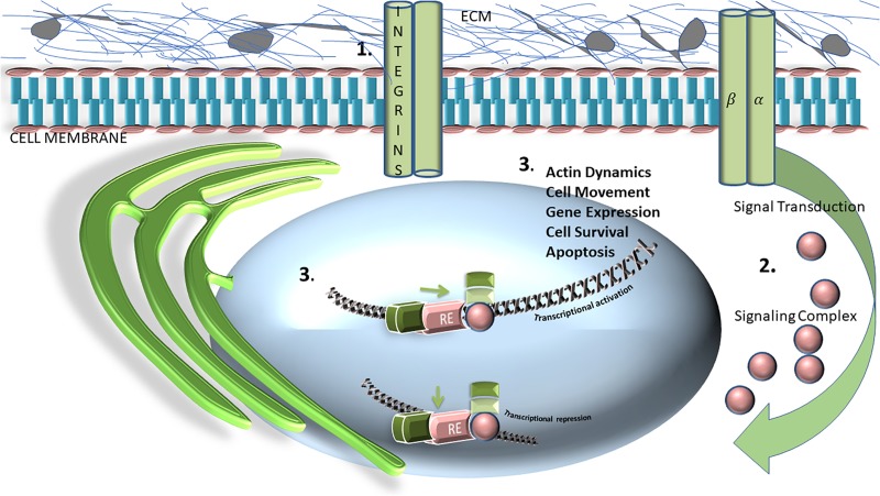 FIGURE 1