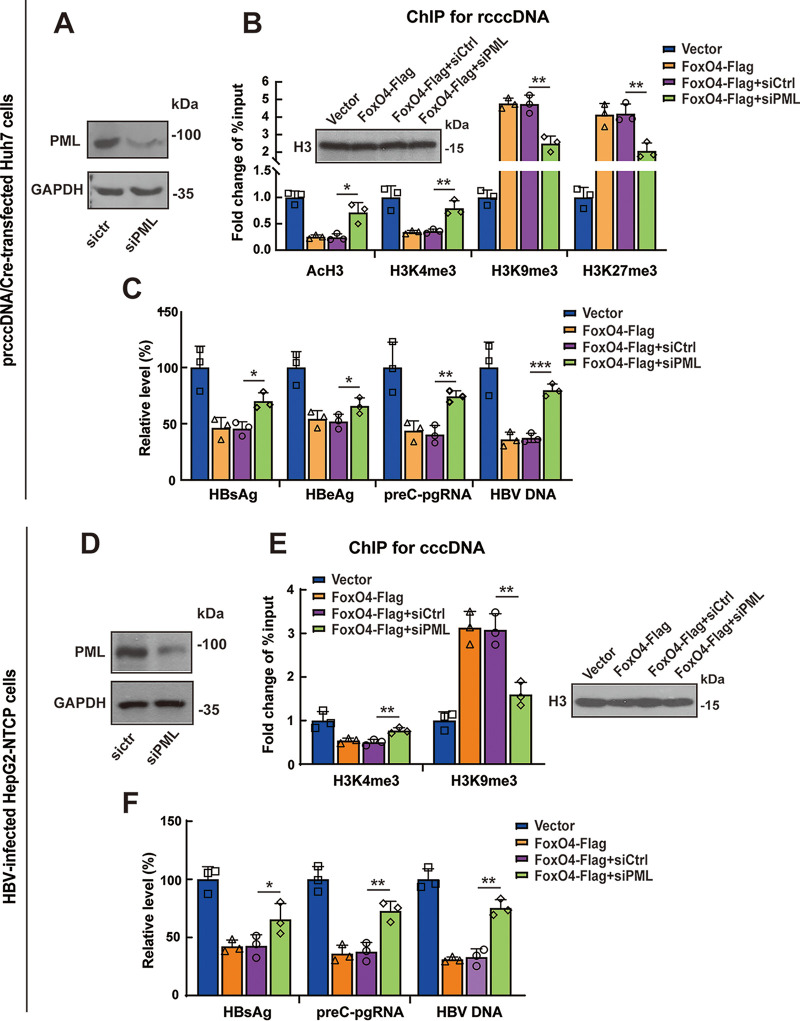 FIG 6