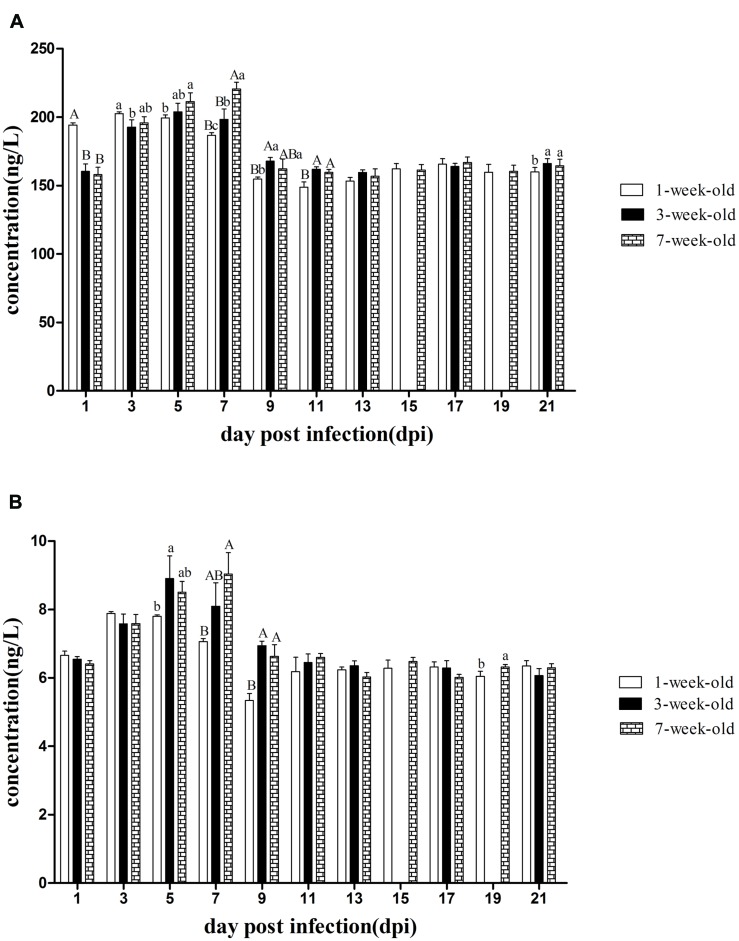 FIGURE 4