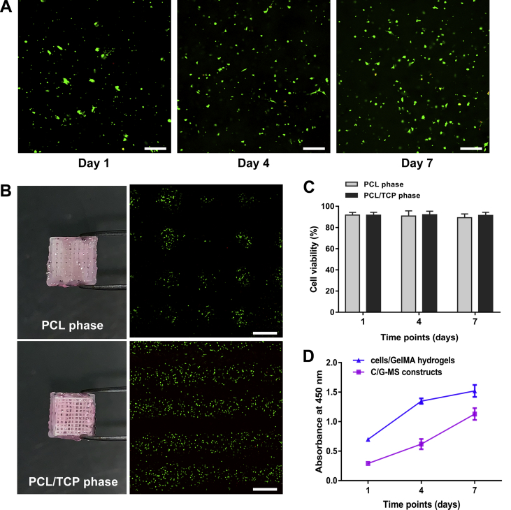 Figure 3