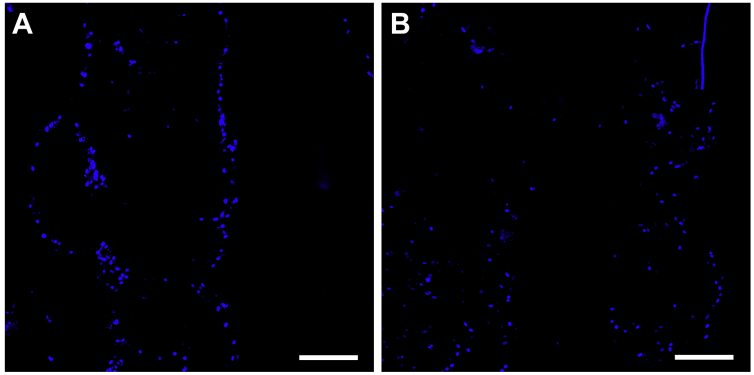 Supplementary figure 1