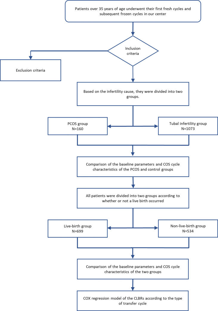 Figure 1