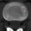 Figure 9c: