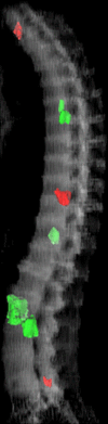 Figure 6d: