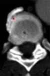 Figure 8e: