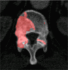 Figure 4d: