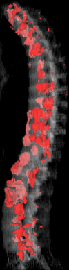 Figure 6b: