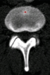 Figure 8b: