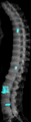 Figure 6a: