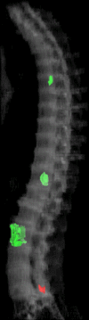 Figure 6e: