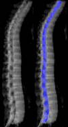 Figure 3: