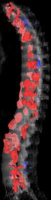 Figure 6c: