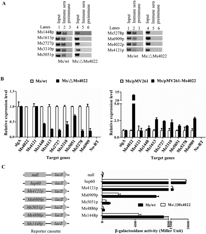 Figure 6