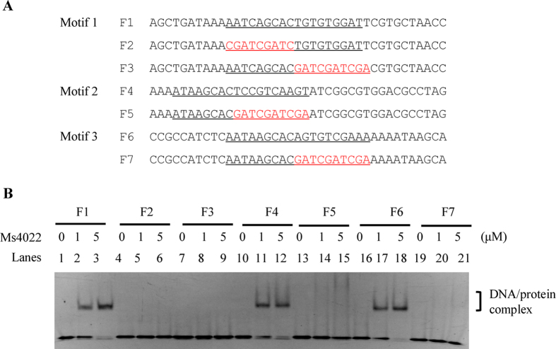 Figure 4