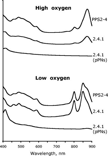 FIG. 1.