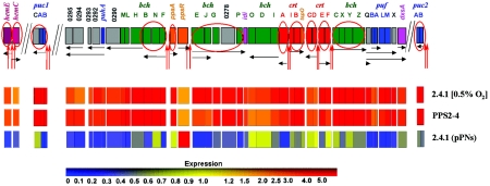 FIG. 2.