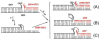 Scheme 3
