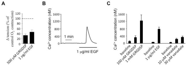 Fig 5