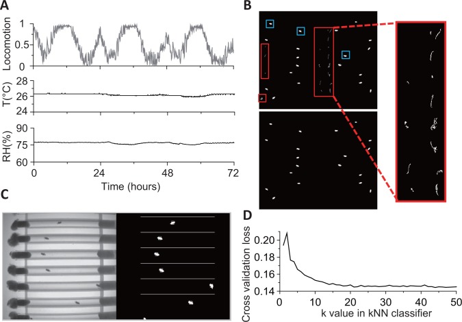 Figure 2—figure supplement 1.