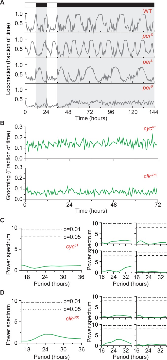 Figure 5—figure supplement 3.