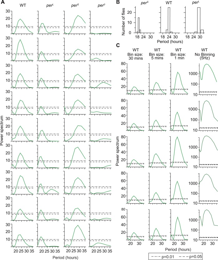 Figure 5—figure supplement 1.