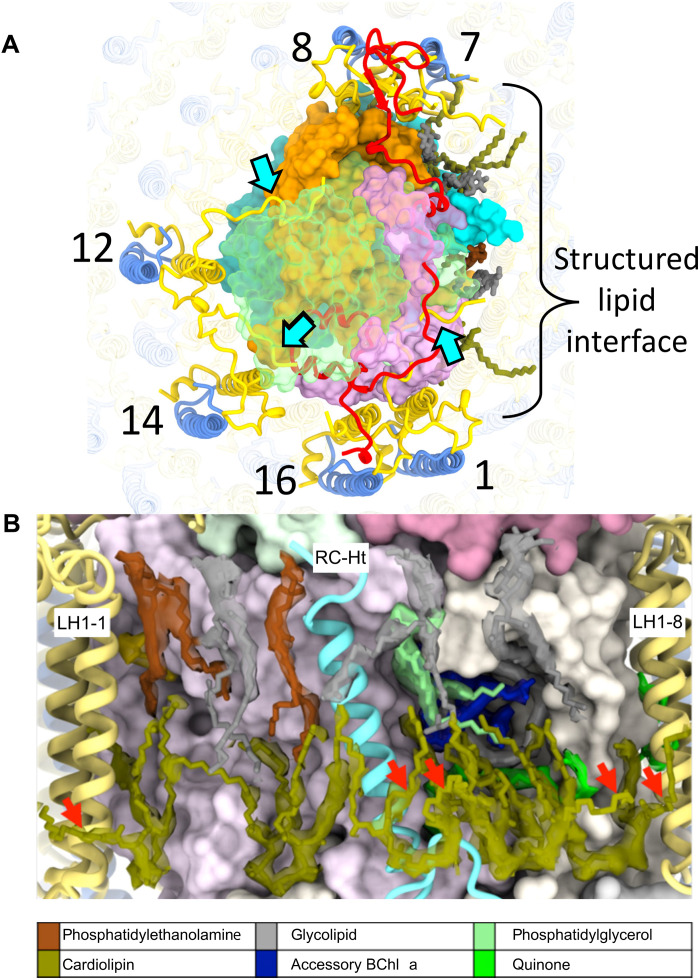 Fig. 3.