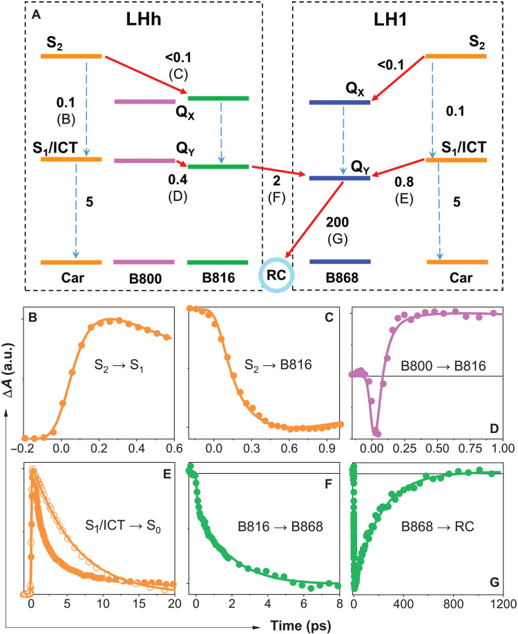 Fig. 7.