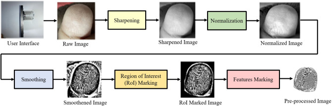 Fig. 4