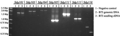 Figure 7.