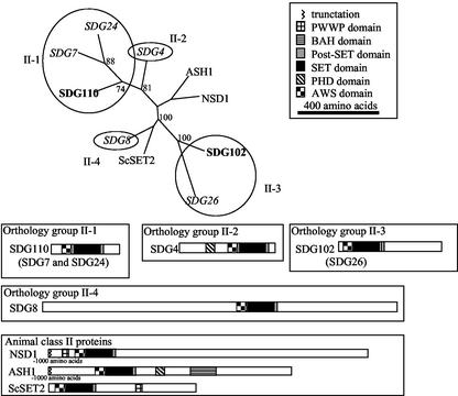 Figure 3.