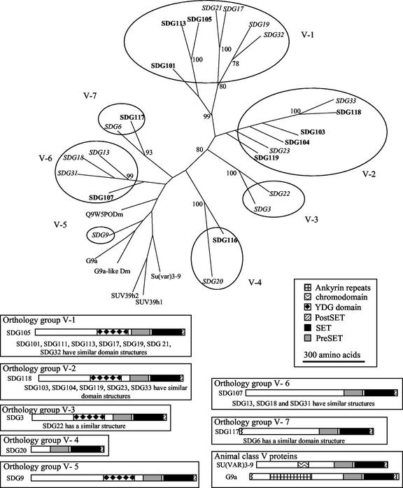 Figure 6.