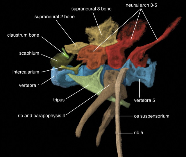 FIGURE 1.