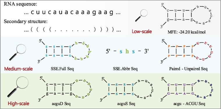 Figure 2.