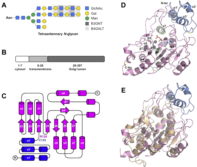 Figure 1