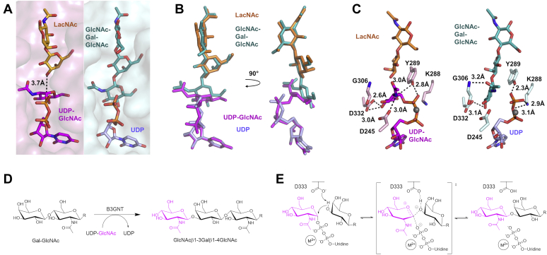 Figure 5