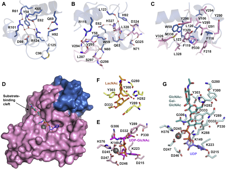 Figure 2