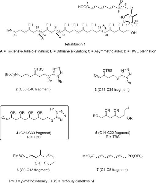 Fig.1