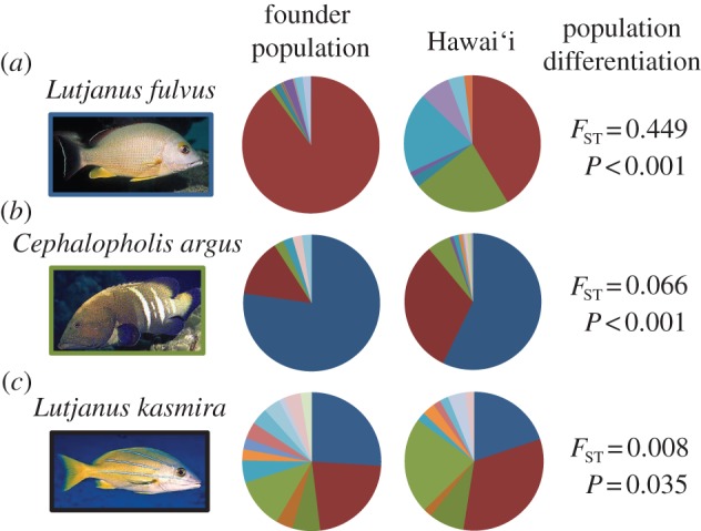 Figure 3.