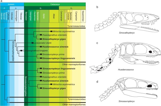 Figure 3.