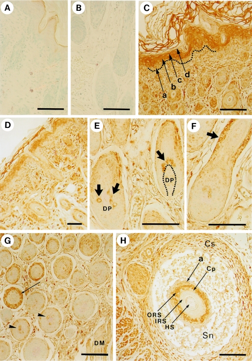 Fig. 3