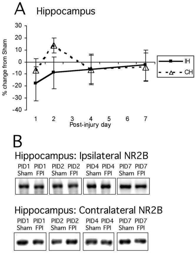 FIG. 6