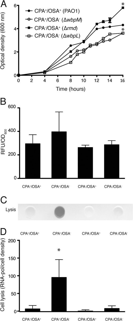 FIG 1