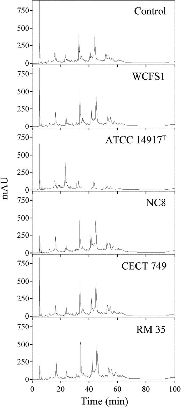 FIG 2